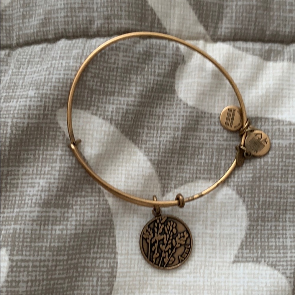 Aunt Alex +Ani